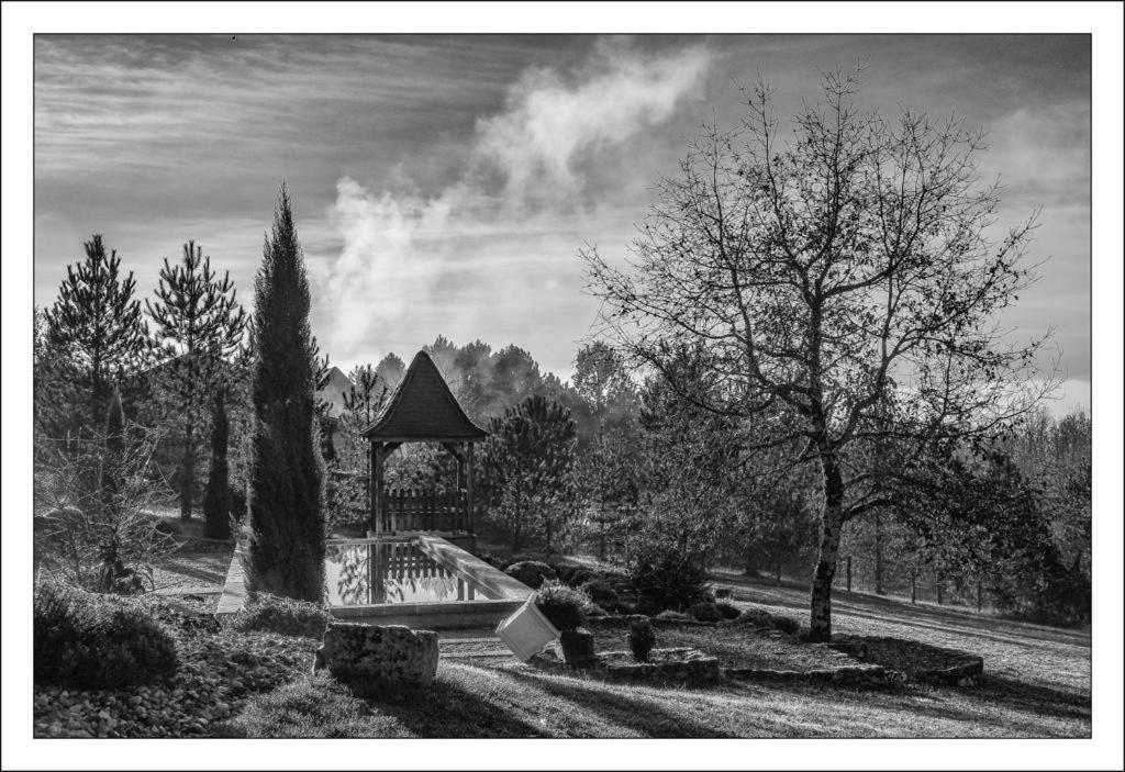 Le Lion D'Or En Perigord Bed and Breakfast Mauzac-et-Grand-Castang Εξωτερικό φωτογραφία