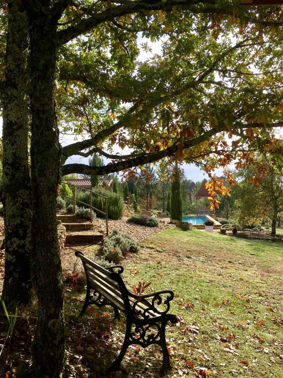 Le Lion D'Or En Perigord Bed and Breakfast Mauzac-et-Grand-Castang Εξωτερικό φωτογραφία